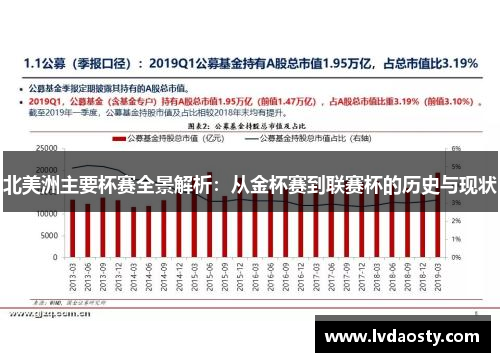 北美洲主要杯赛全景解析：从金杯赛到联赛杯的历史与现状